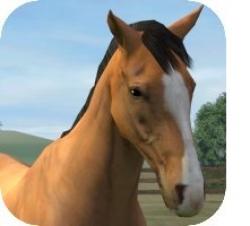 My Horse My Horse